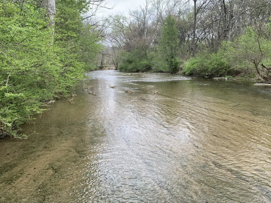 137 Factory Creek Rd, Ethridge, TN 38456 - #2