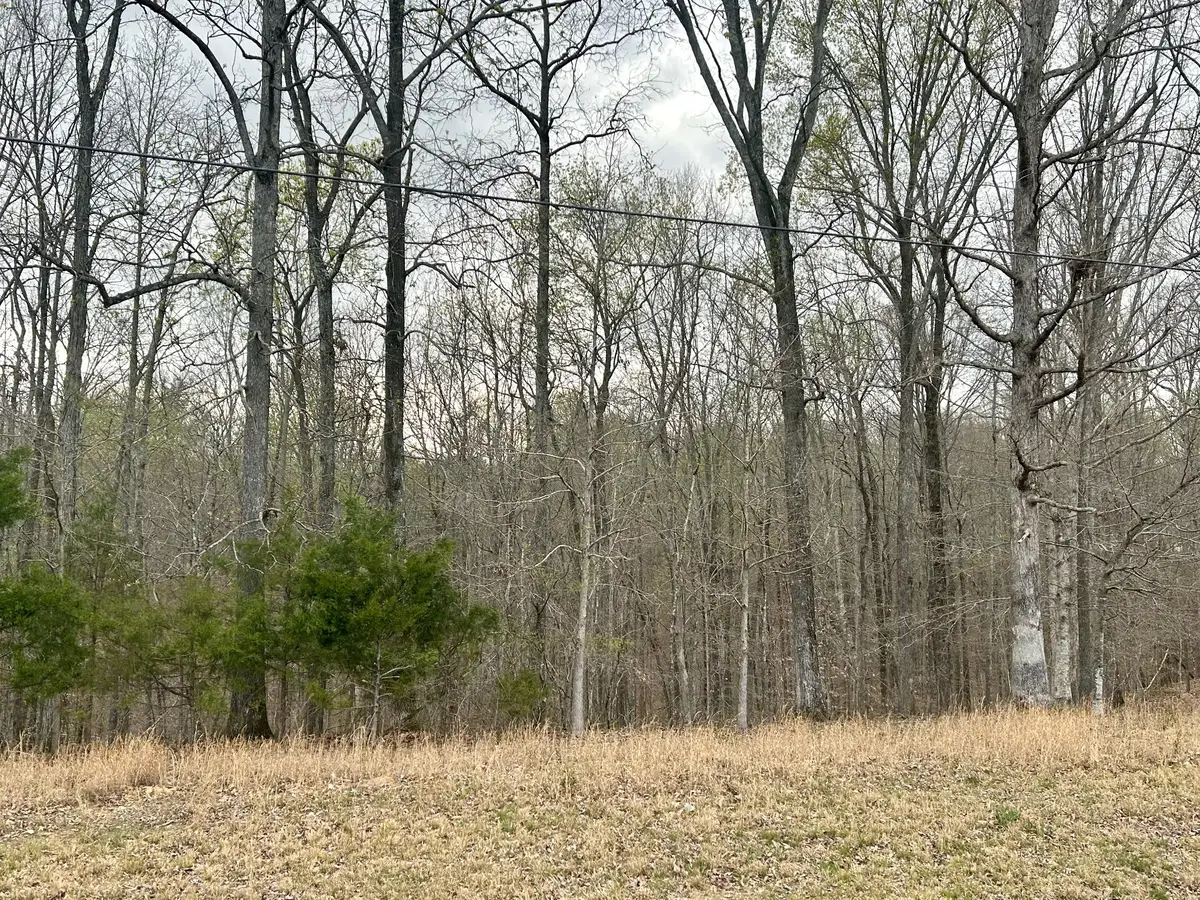 1020 Ed Sanders Rd, Lynchburg, TN 37352 - #1