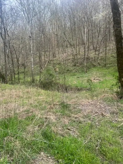 0 Club Springs Rd, Elmwood, TN 38560 - #2