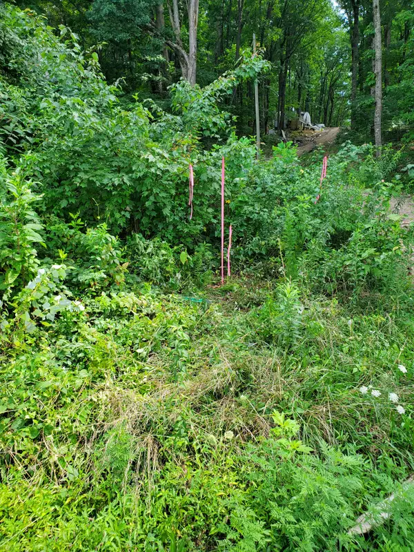 235 County Road, Niota, TN 37826