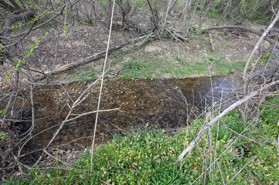 15996 Highway 438 W, Linden, TN 37096 - #3