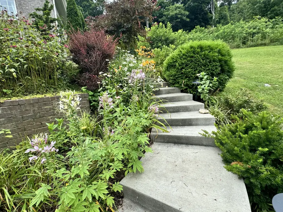 782 Saussy Pl, Nashville, TN 37205 - #2