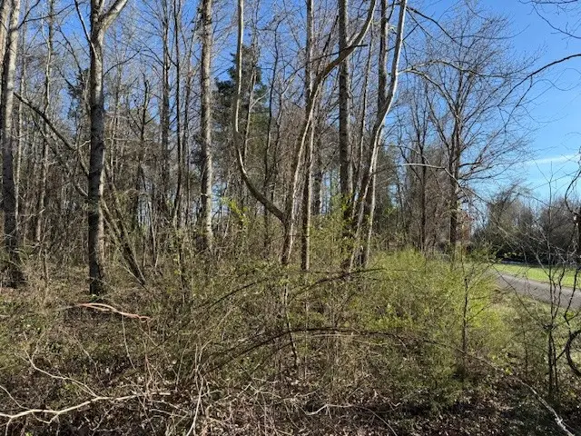 120 S Woods Rd, McMinnville, TN 37110 - #3