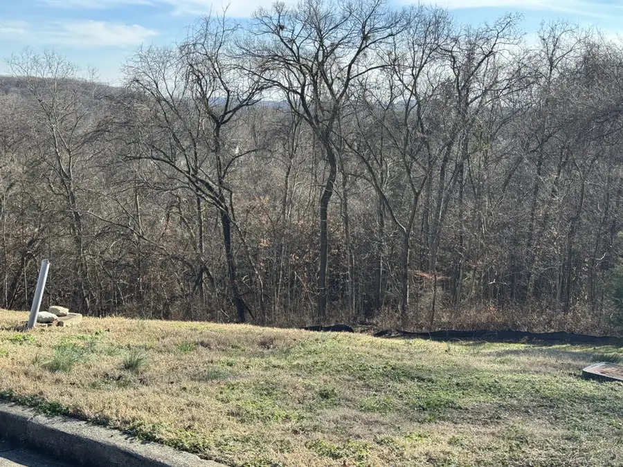 20 Cherub Ct, Brentwood, TN 37027 - #2