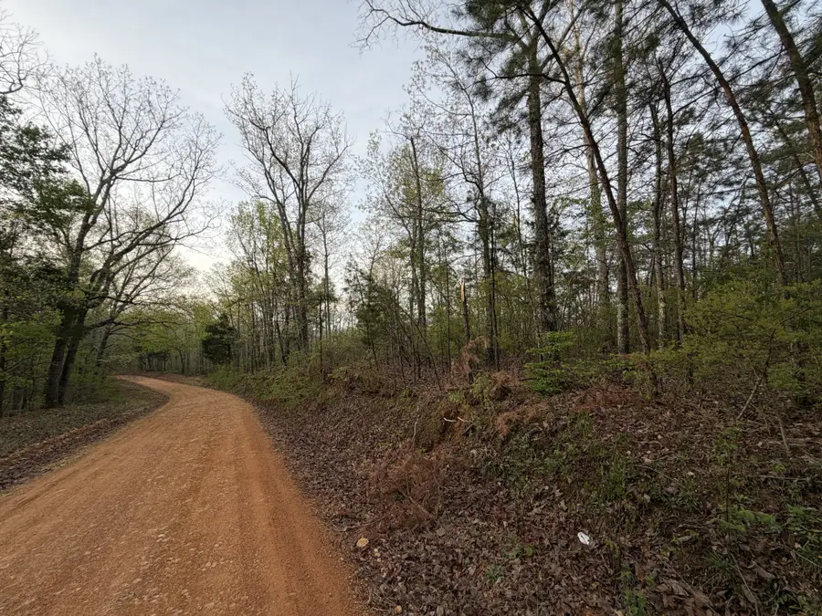 0 Salem Road, Centerville, TN 37033 - #3