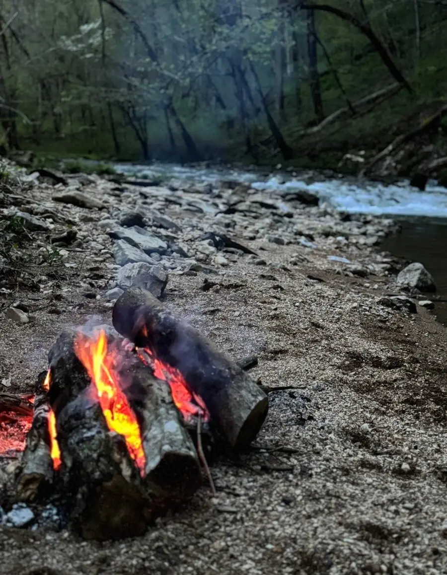 1045 Jones Mill Rd, Smithville, TN 37166 - #2