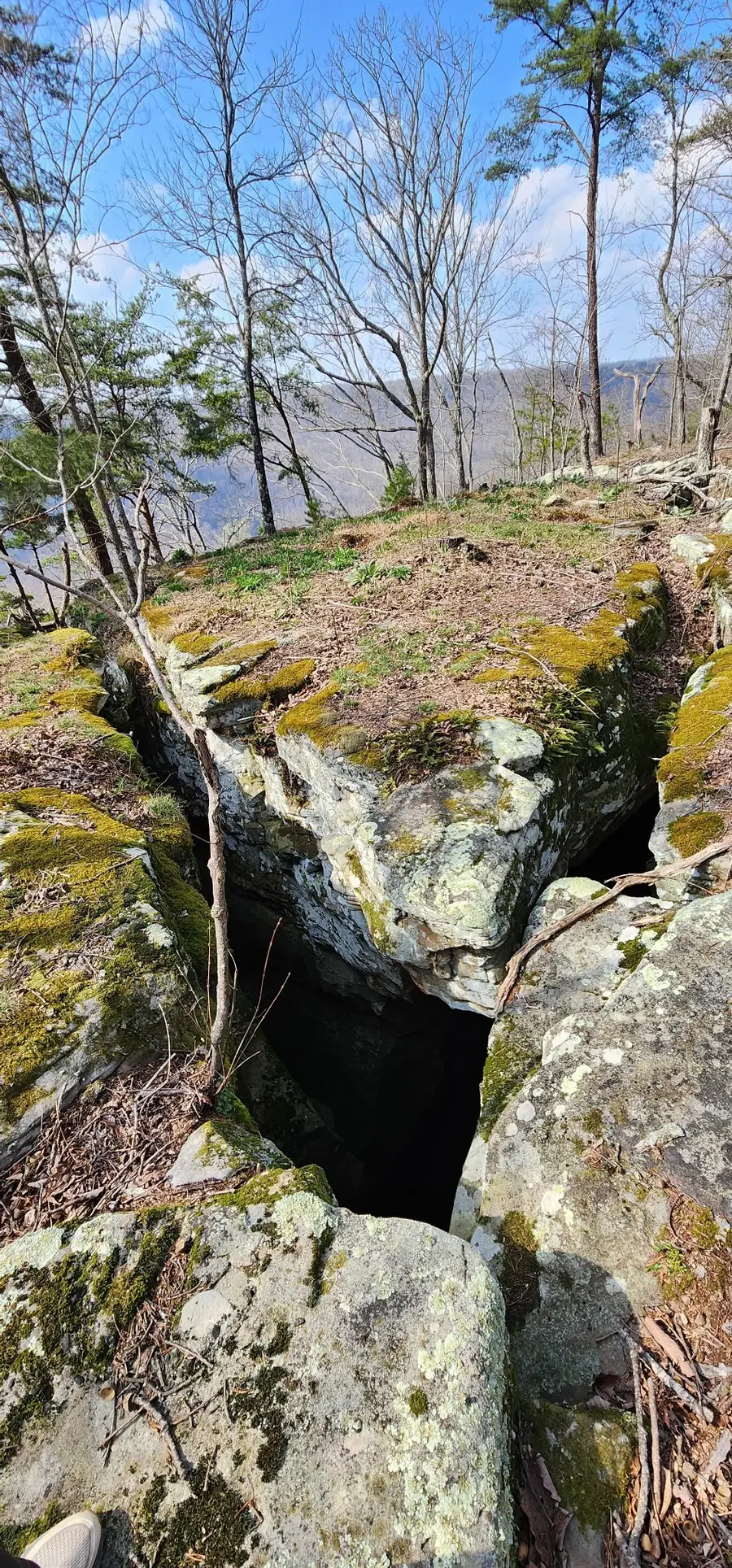 0 Roth Point Road, Altamont, TN 37301 - #2