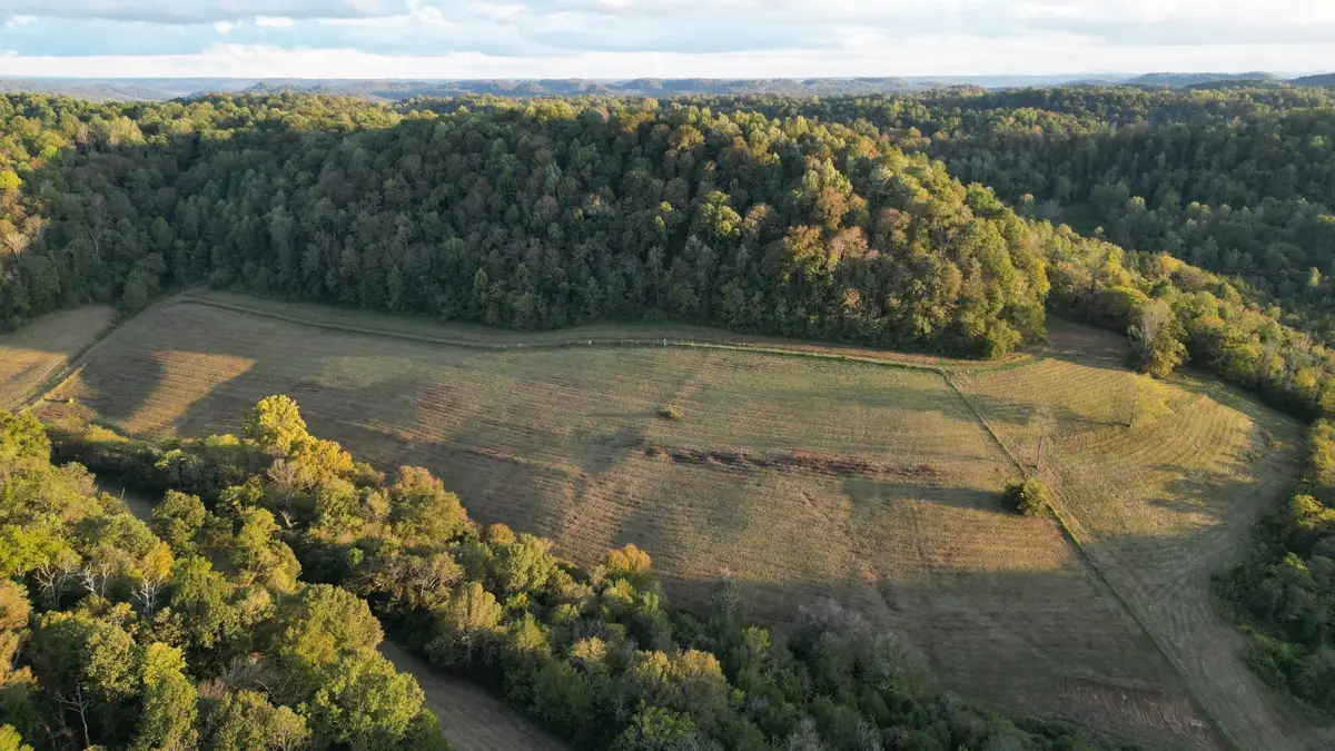 46 Carver Hollow Lane, Pleasant Shade, TN 37145 - #1