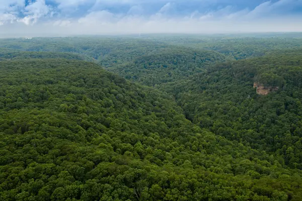 916 N Rim Drive, Coalmont, TN 37313