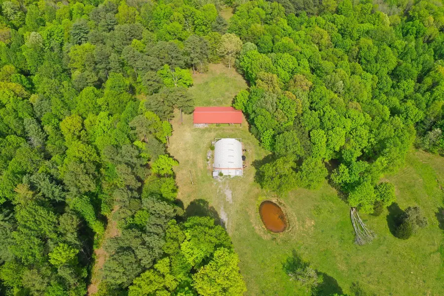 3915 Oak Ridge Rd, Palmyra, TN 37142 - #2