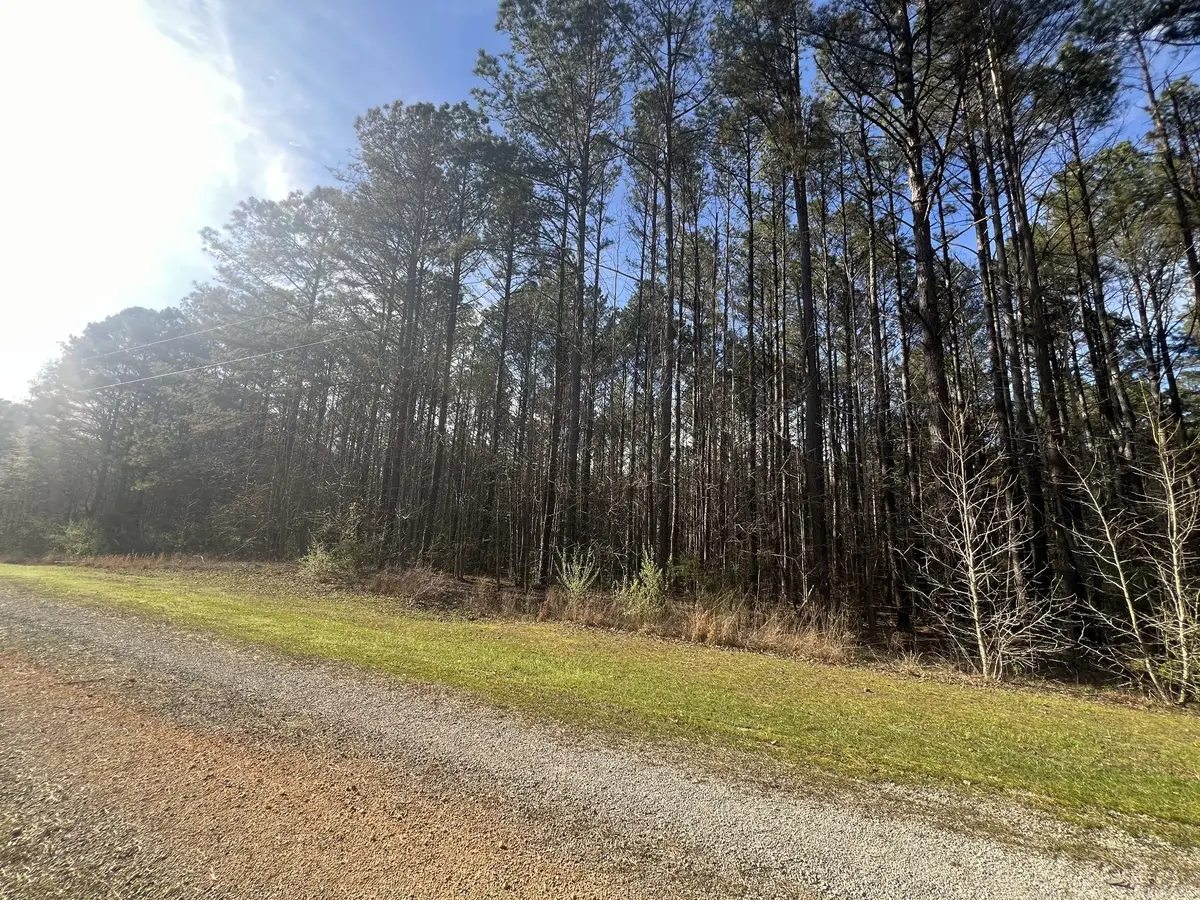 116 Zara Spook Dr, Cedar Grove, TN 38321 - #1