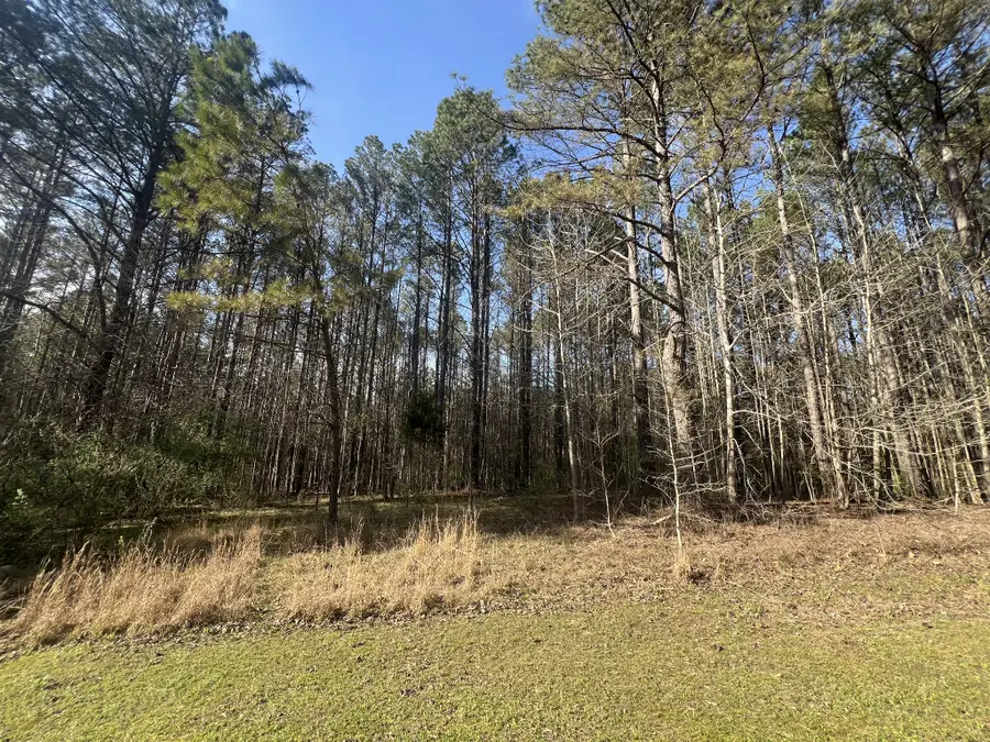 116 Zara Spook Dr, Cedar Grove, TN 38321 - #3