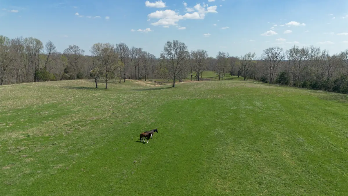 1904 Millers Chapel Rd, Charlotte, TN 37036 - #1