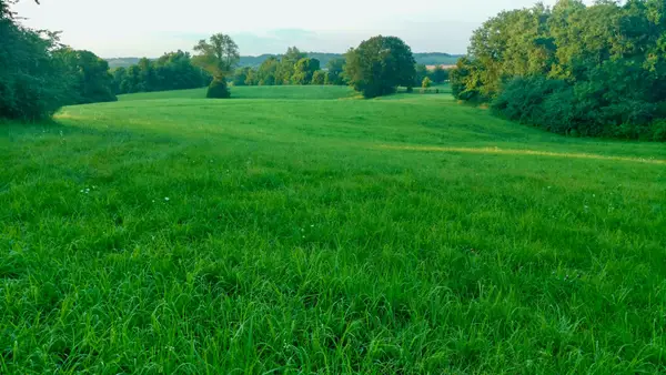 0 Clear Creek Road, Pulaski, TN 38478