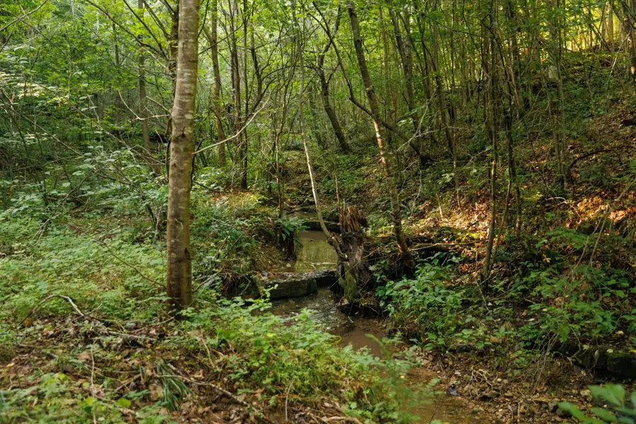 7365 Coldwater Rd, Fairview, TN 37062 - #3