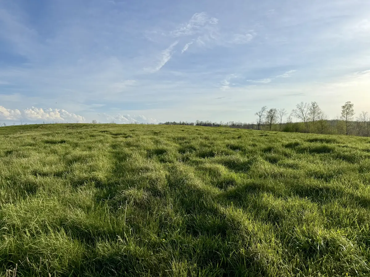 0 Brigham Branch Road, Erin, TN 37061 - #1