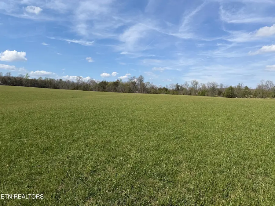 1342 Walt Reed Rd, Grandview, TN 37337 - #3