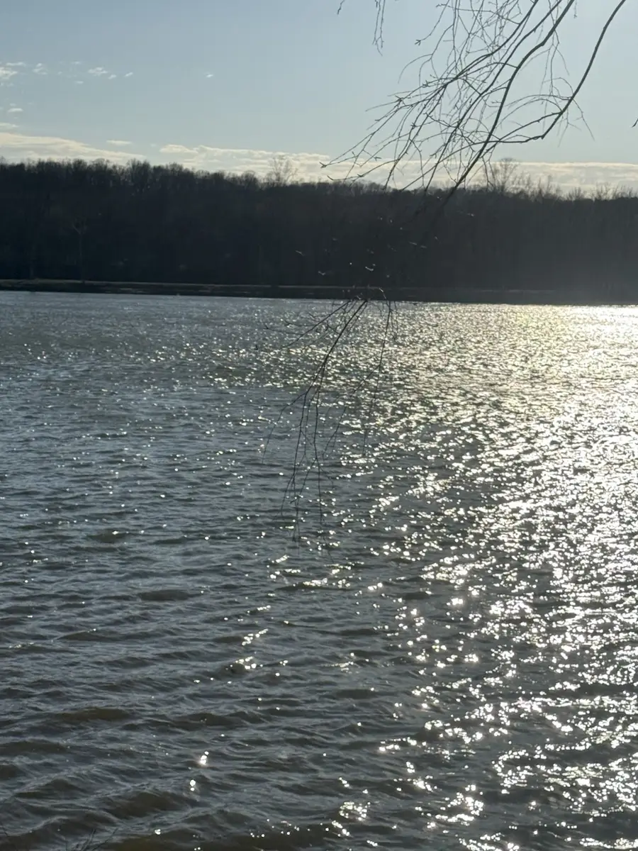 425 Hardin Bottom Rd, Clifton, TN 38425 - #3