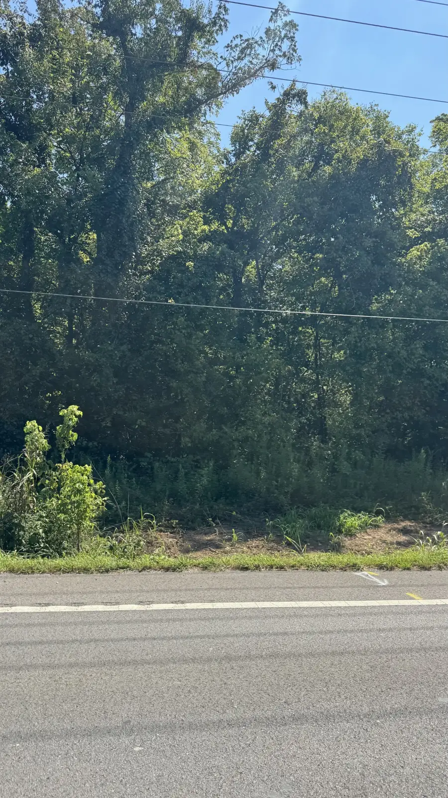 8322 Horton Hwy, College Grove, TN 37046 - #3