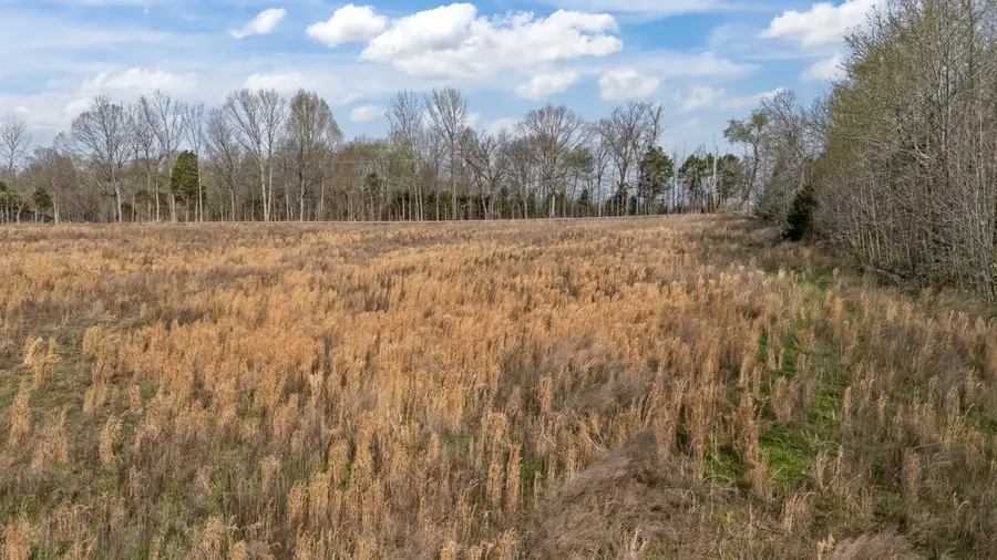 362 Hayes Ridge Rd, Indian Mound, TN 37079 - #2