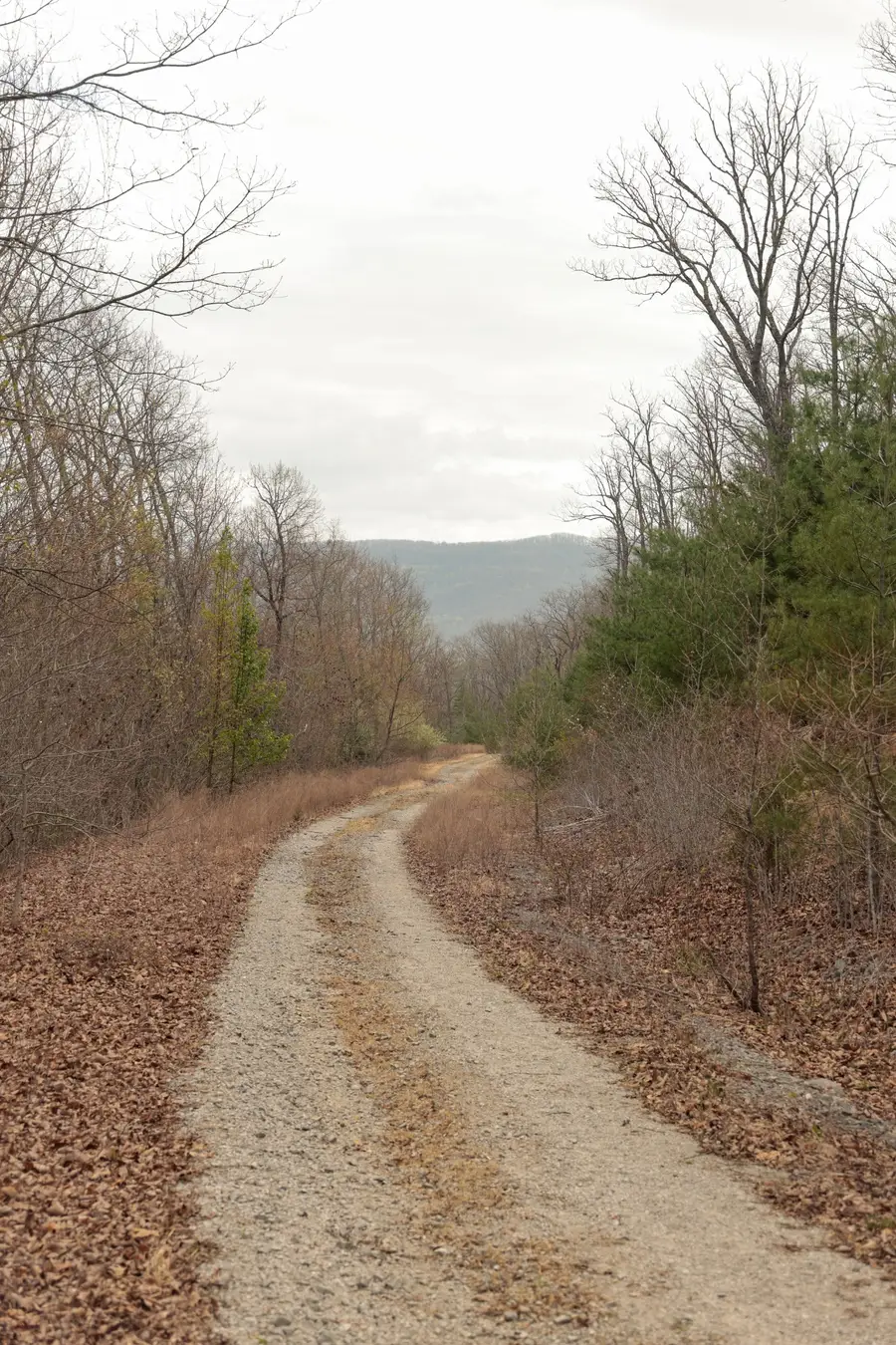 0 Green Ridge Trail, Oakdale, TN 37829 - #3