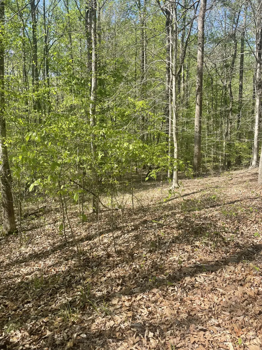 389 Excalibur Trl, Cedar Grove, TN 38321 - #2