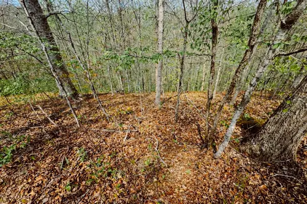 0 Holiday Haven Dr, Smithville, TN 37166