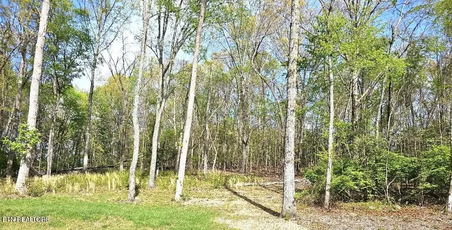 6230 Keck Rd, Knoxville, TN 37912 - #2