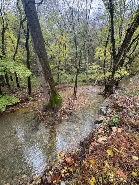 0 Mcbroom Branch Rd, Baxter, TN 38544 - #3