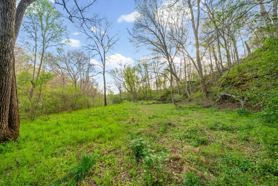 1 Bud Parker Lane, Erin, TN 37061 - #2