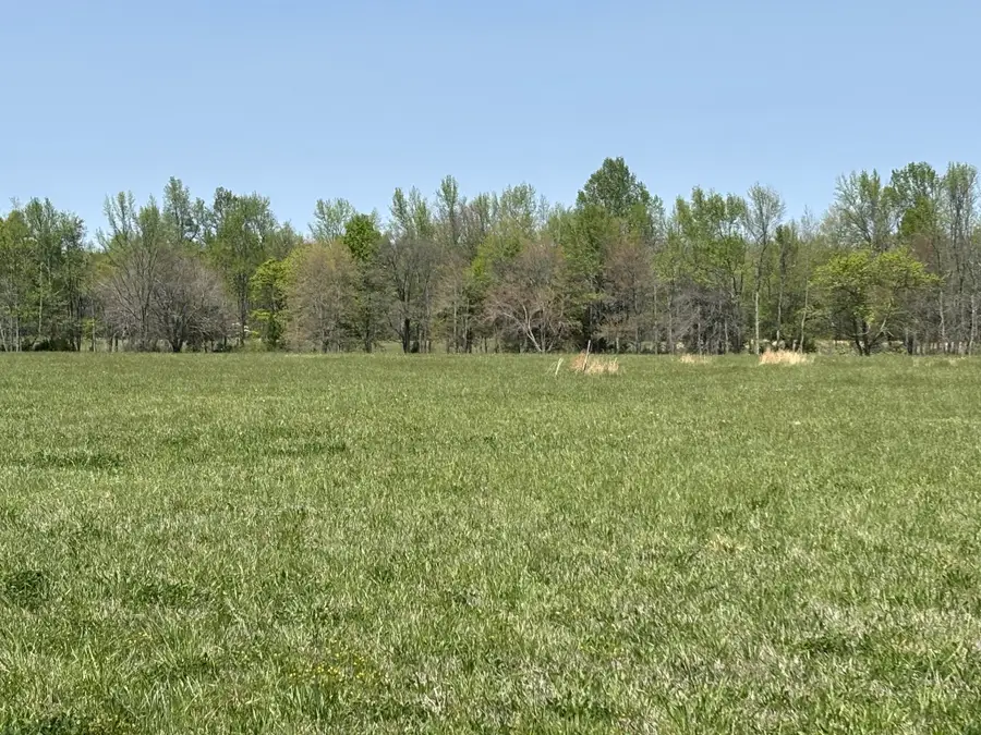 0 Hollow Springs Road, Bradyville, TN 37026 - #2