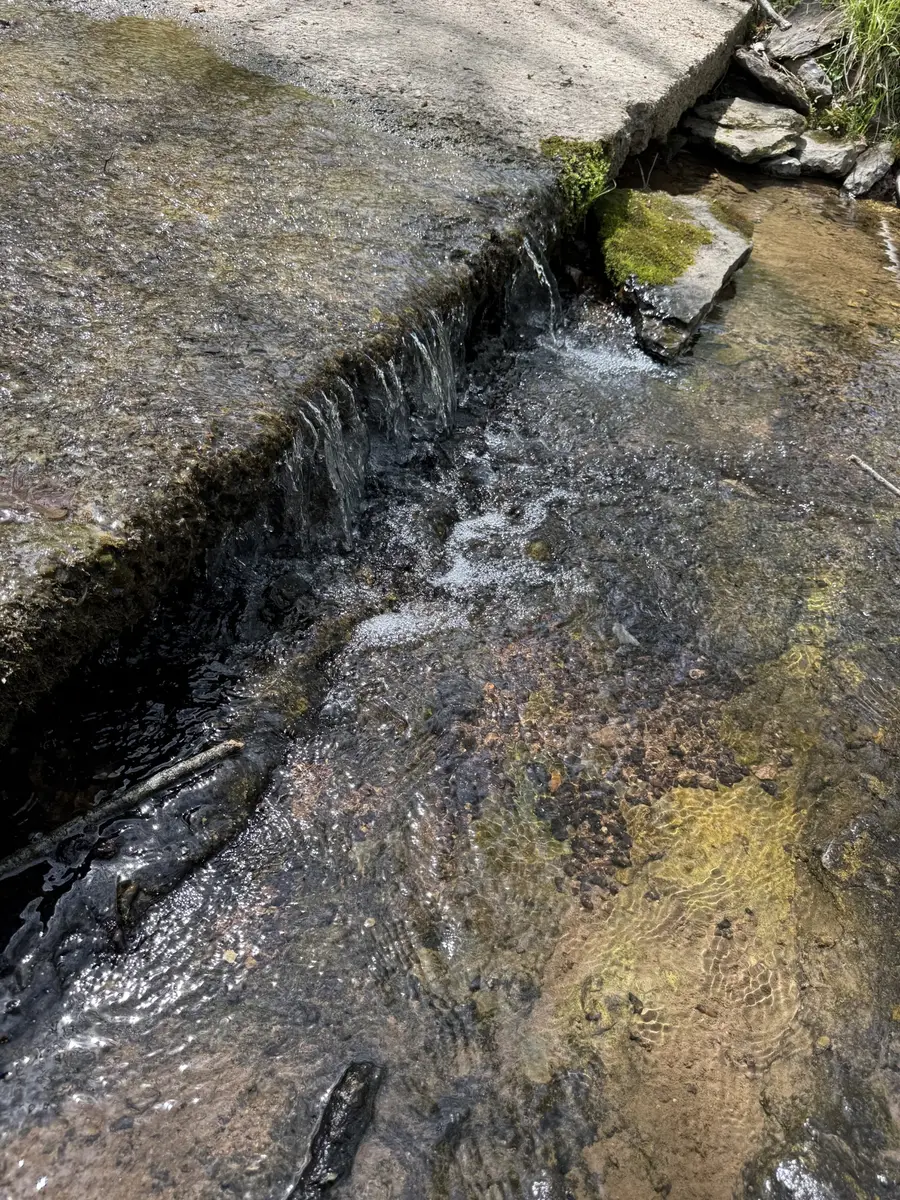 562 Junus Jackson Hollow Rd, Minor Hill, TN 38473 - #3