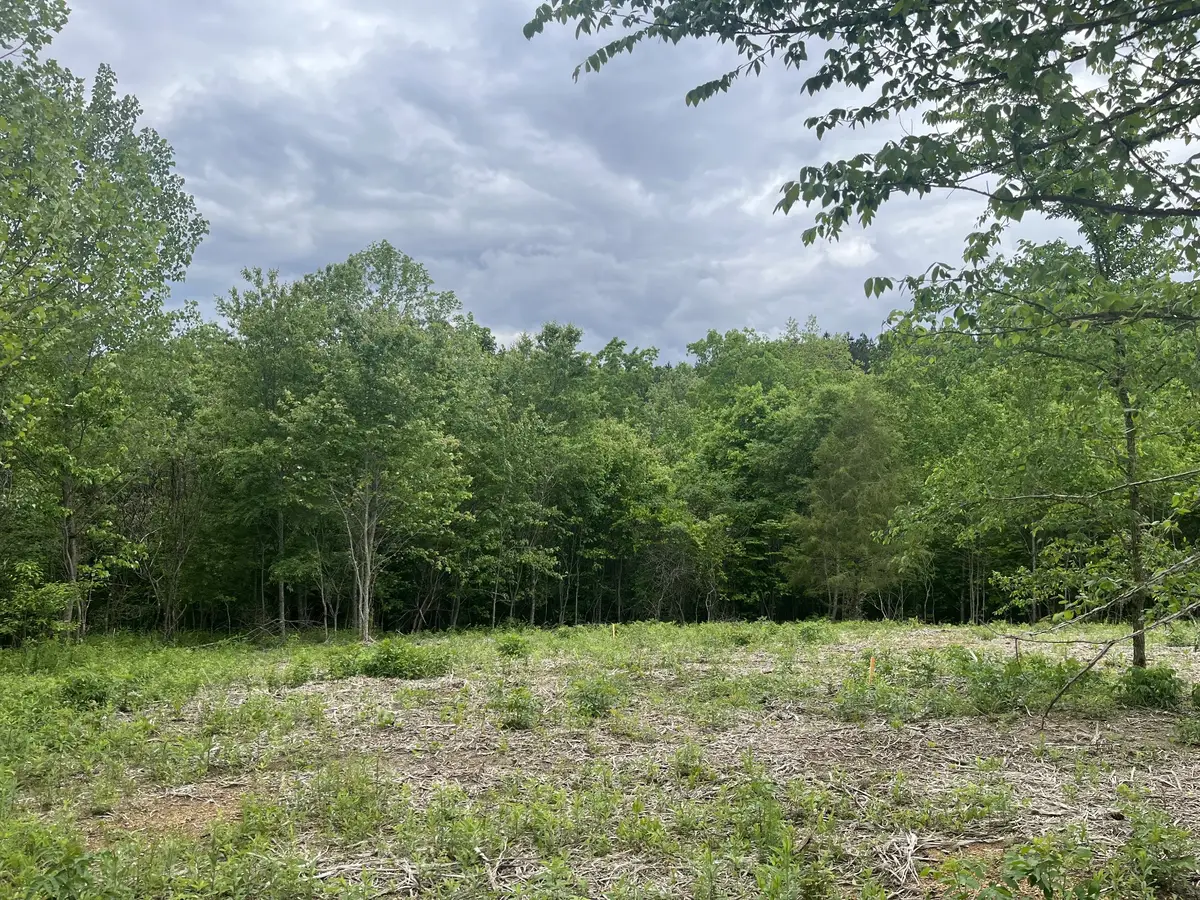 0 Old Mail Road, Duck River, TN 38454 - #1
