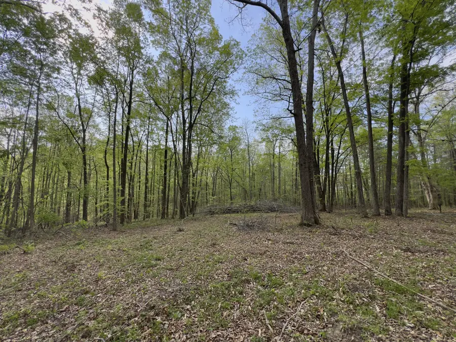 0 Valley Road, Fairview, TN 37062 - #2