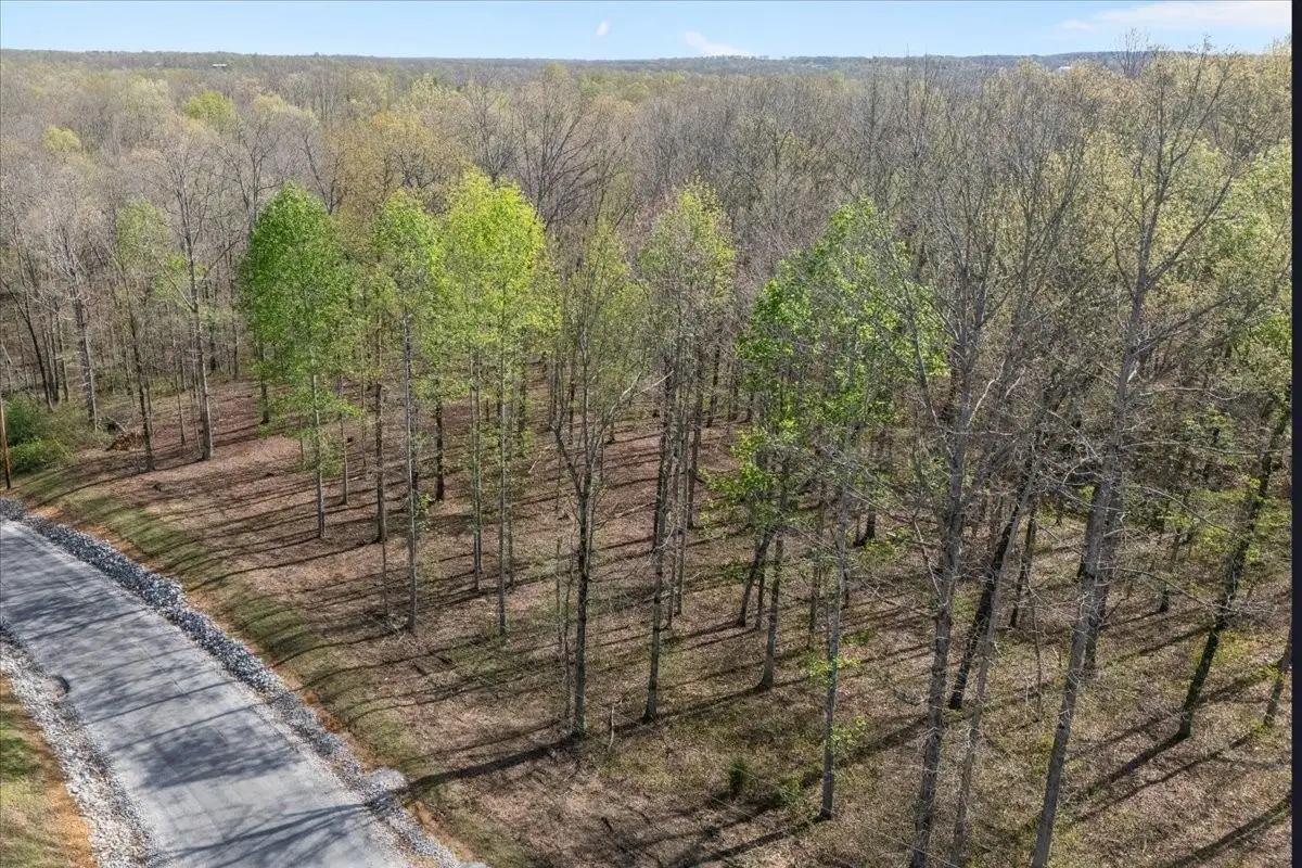 0 Ridgewood Dr, McEwen, TN 37101 - #1