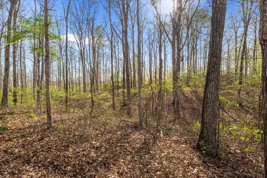 0 Ridgewood Dr, McEwen, TN 37101 - #3