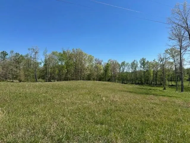 0 Pear Blossom Ln, Adamsville, TN 38310 - #1