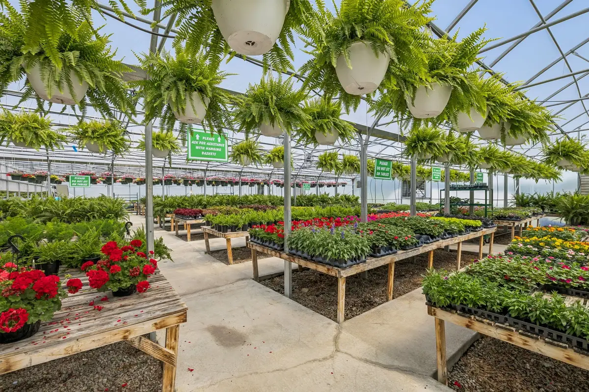 2461 Bodenham Rd, Pulaski, TN 38478 - #1