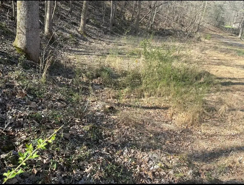 1195 Blaylock Rd N, Dickson, TN 37055 - #2