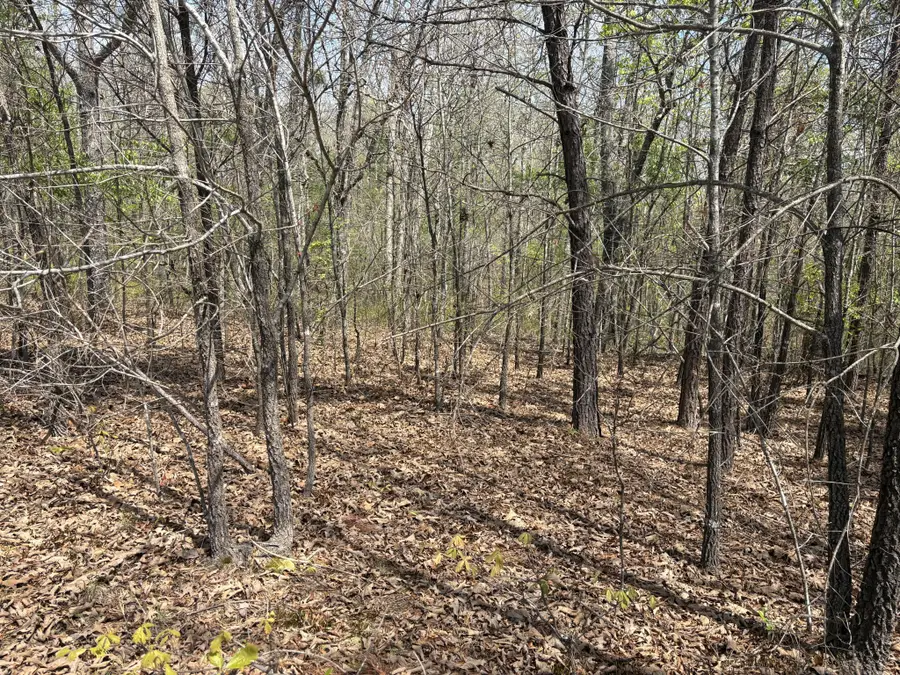 0 Mill Ave, Hohenwald, TN 38462 - #2