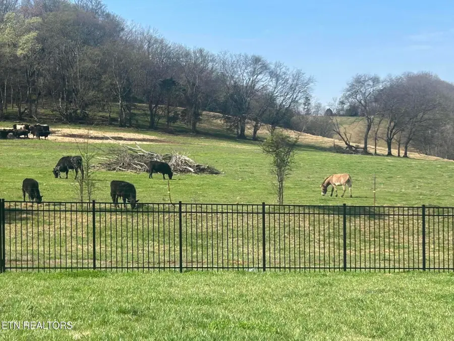 2013 Farm Blvd, Sevierville, TN 37876 - #2