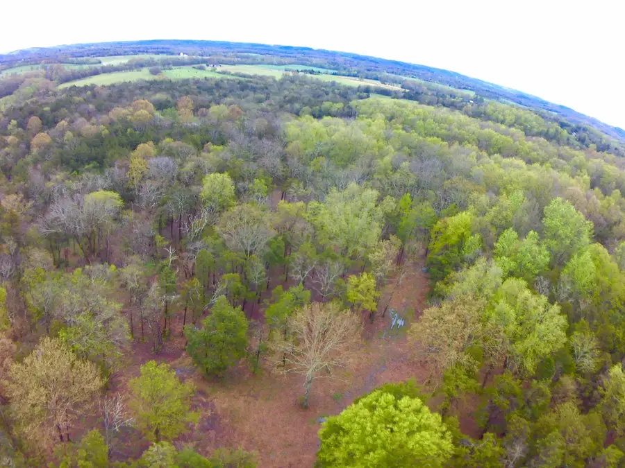 0 Hwy 64 Arnold Rd E, Wartrace, TN 37183 - #3