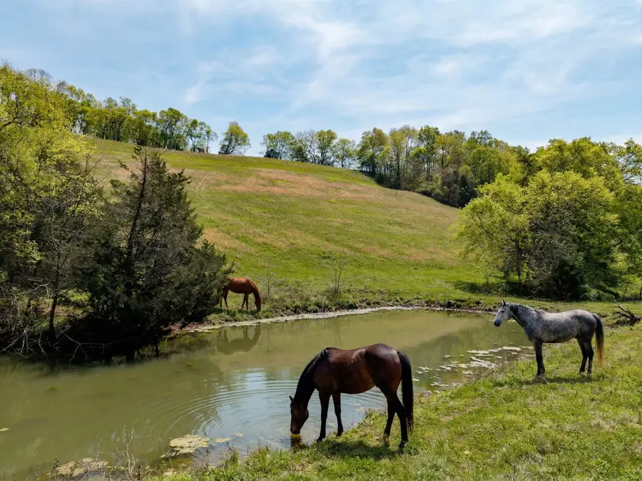 305 Ingram Rd, Pulaski, TN 38478 - #3