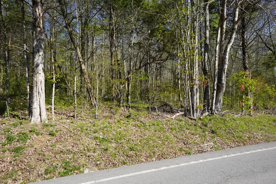 4205 Hwy 49, Tennessee Ridge, TN 37178 - #3