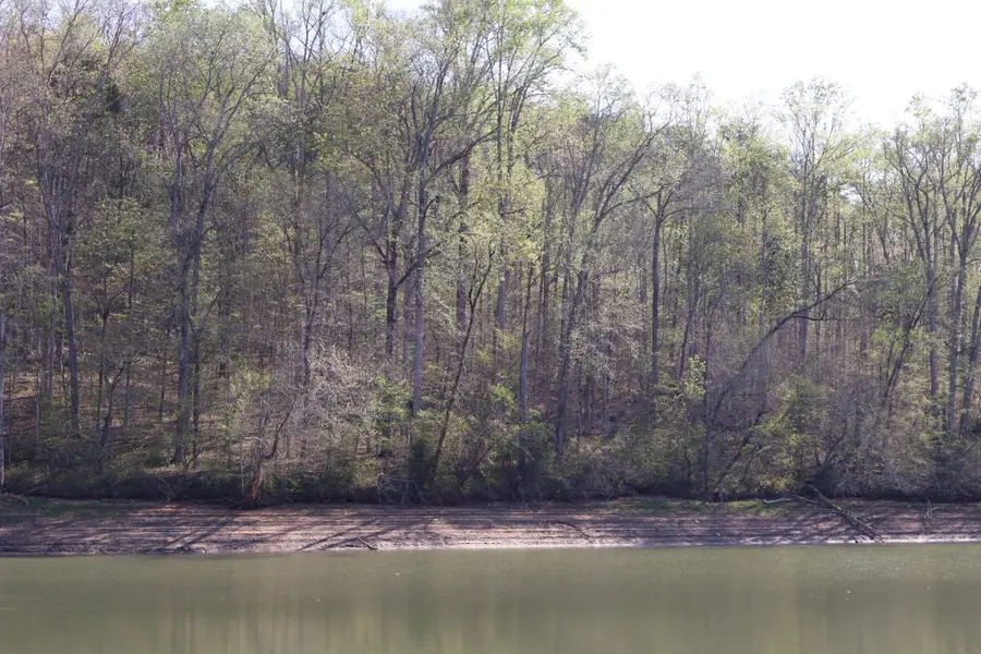 0 Simmons Cemetary Rd, Quebeck, TN 38579 - #3