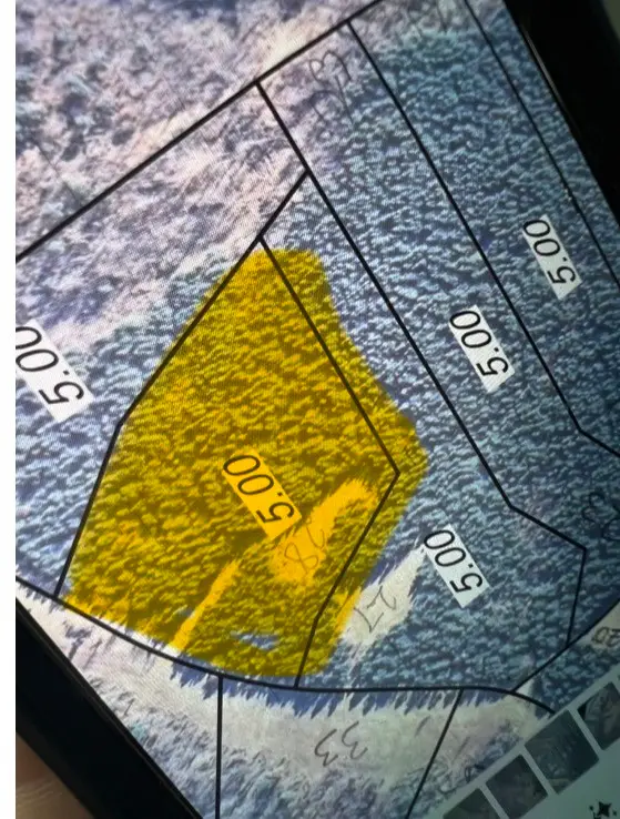 37 Pafford Lane, Erin, TN 37061 - #3