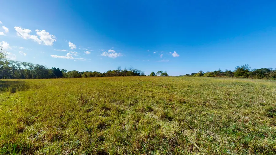 0 Old Murray Paris Rd, Puryear, TN 38251 - #3