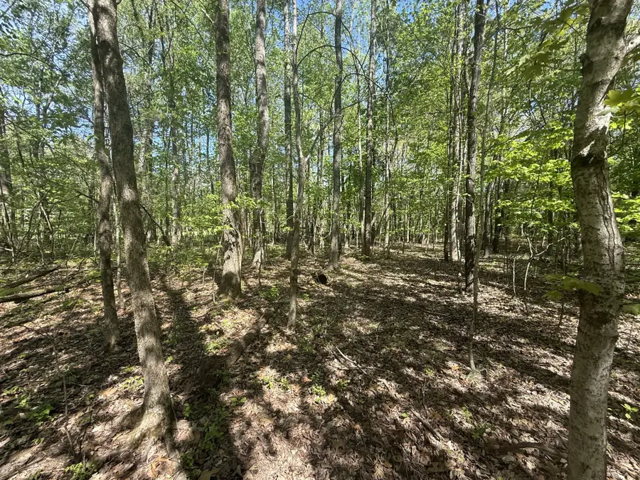 0 Dunbar Cave Rd, Clarksville, TN 37043 - #2