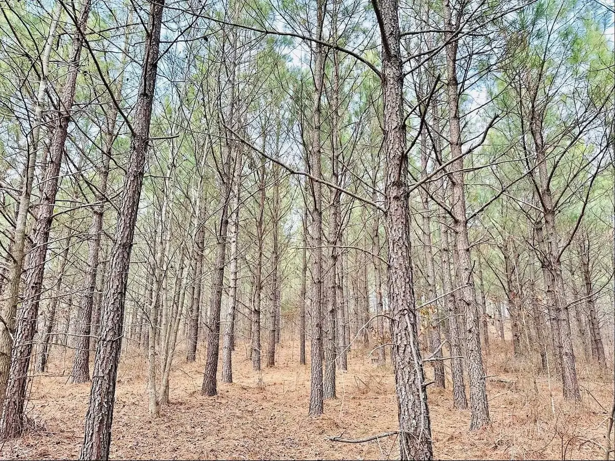 48 Ranches At Hickory Ridge, Dover, TN 37058 - #1