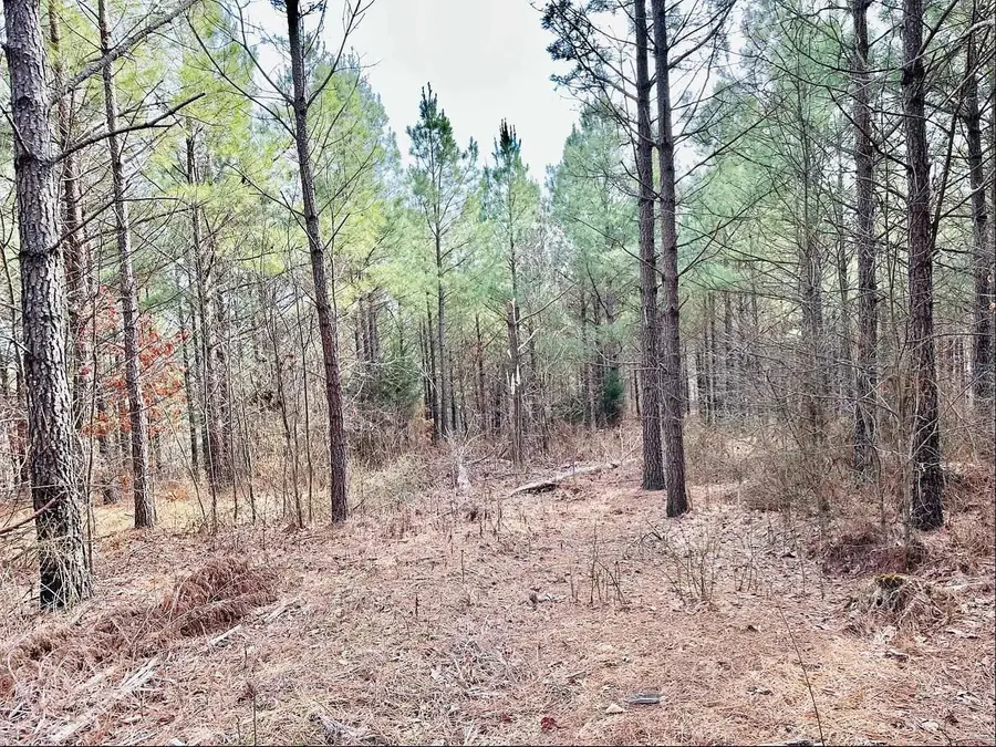 48 Ranches At Hickory Ridge, Dover, TN 37058 - #3